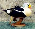 Click here to go to Decoy Style Mounts...........